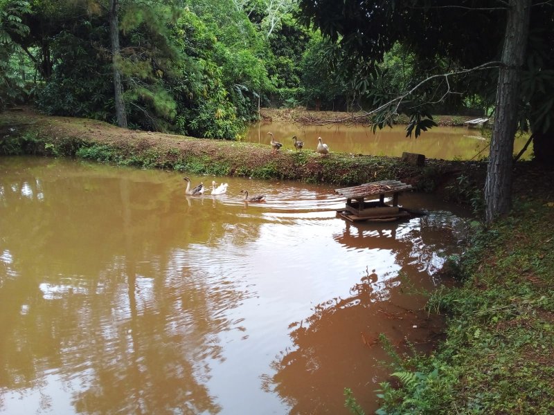 Chcara - Venda - Rodovia Dom Pedro - Itatiba - SP